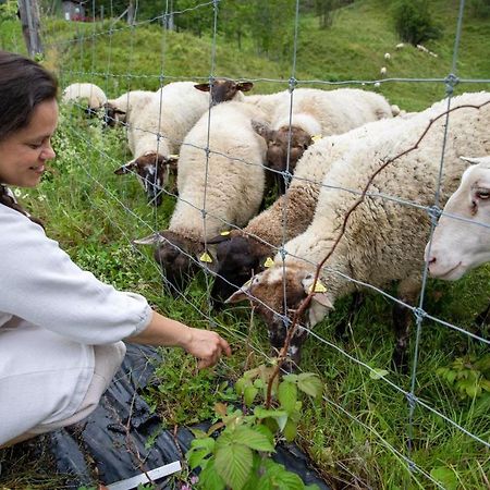 La Vieille Ferme, Ecogite Saint-Fulgence Exterior foto