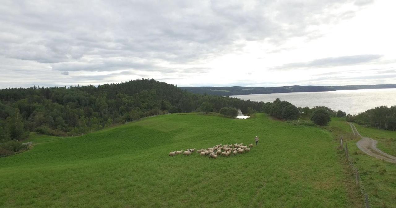La Vieille Ferme, Ecogite Saint-Fulgence Exterior foto