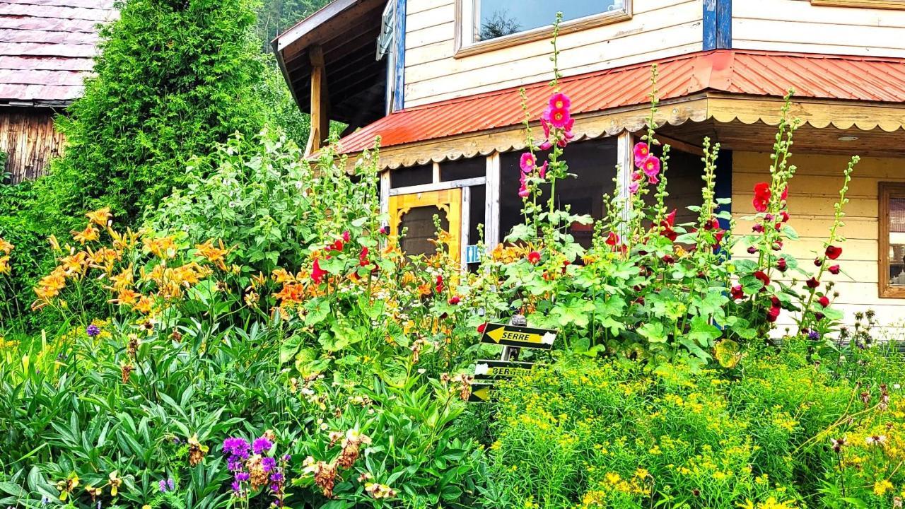 La Vieille Ferme, Ecogite Saint-Fulgence Exterior foto