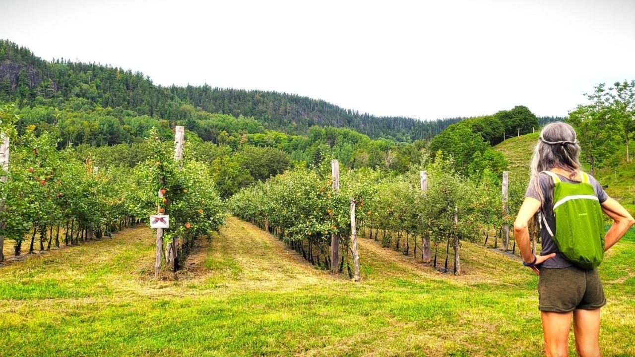 La Vieille Ferme, Ecogite Saint-Fulgence Exterior foto